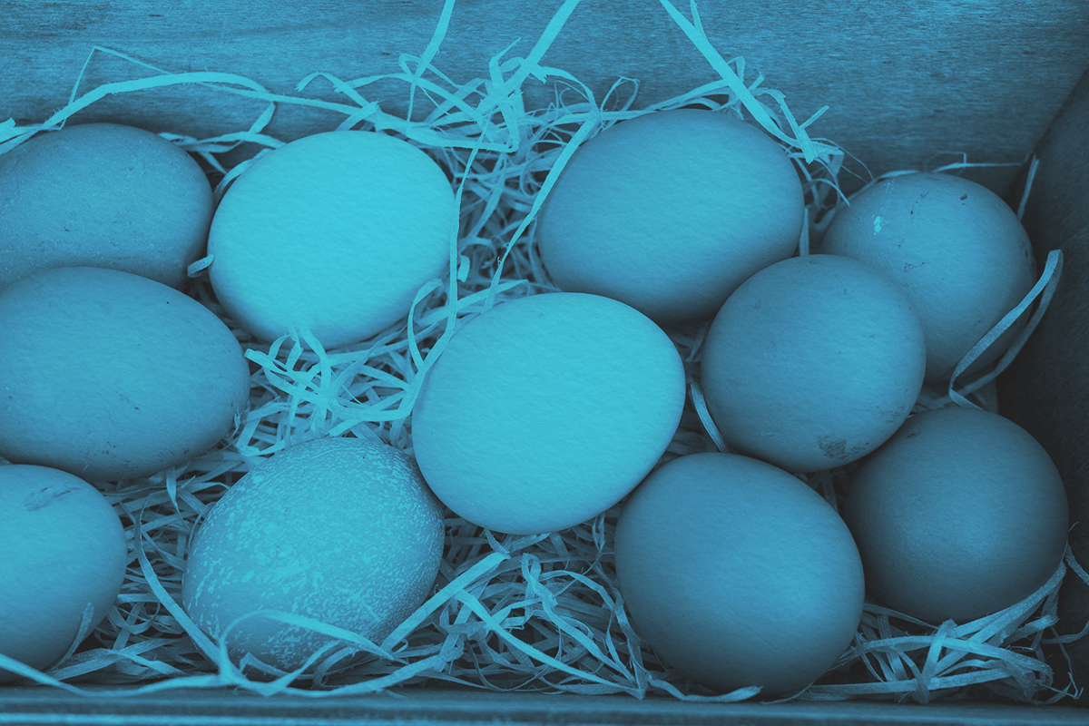 Why Do We Call Them Jumbo Eggs?