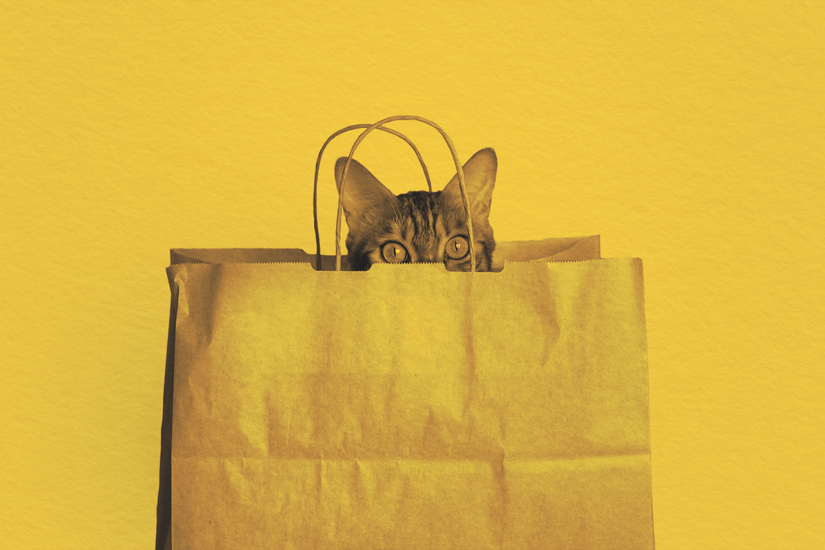 Why Do We ‘Let a Cat Out of the Bag’?