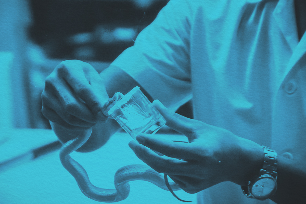 6 Weird Job Titles You Can Actually Get Paid For