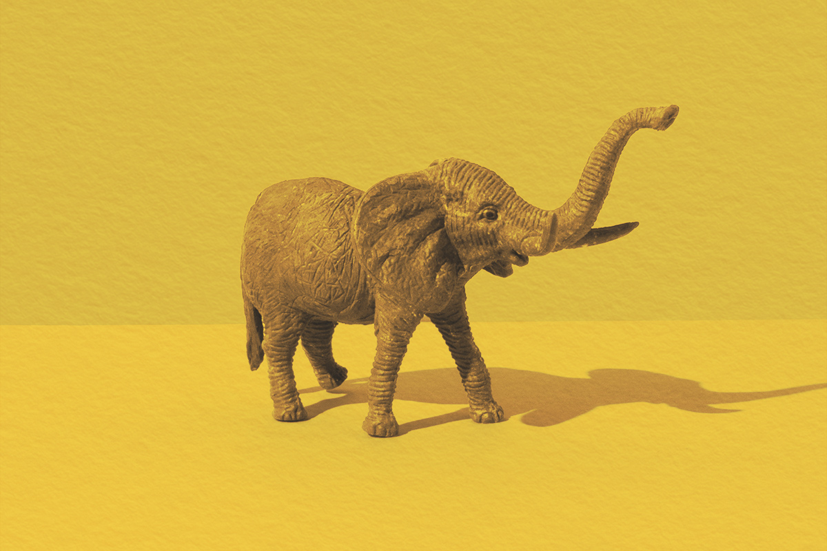What Was the First ‘Elephant in the Room’?
